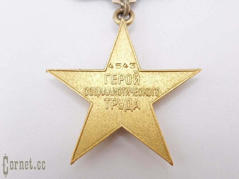 Gold medal "Hammer and Sickle"