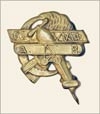 Airforce Badge