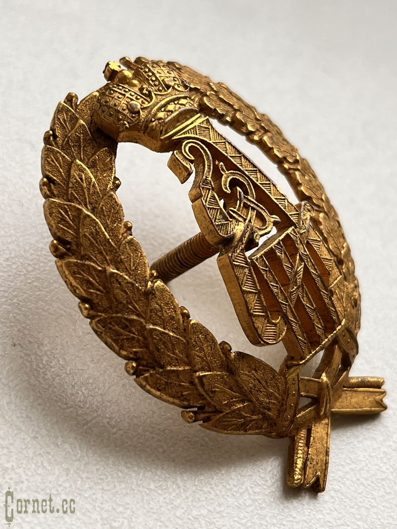 Знак за службу в частях Е.И.В. при Александре III