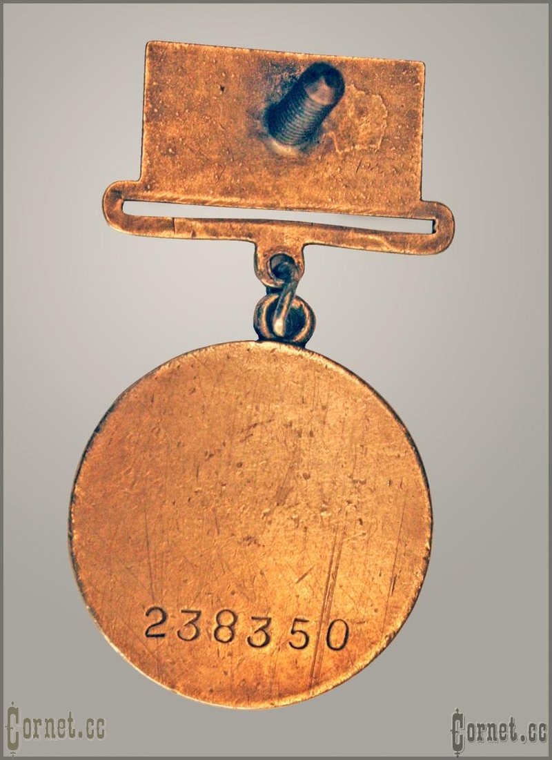 Medal for Combat Service