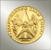 Золотая медаль за окончание с отличием военного ВУЗа