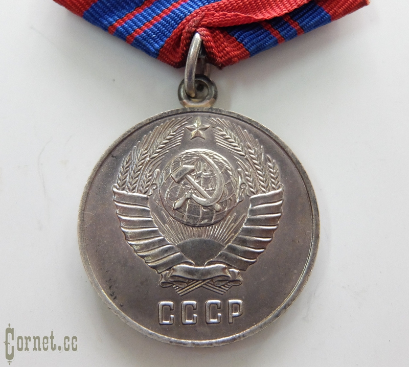 Medal "For excellent service in the protection of public order".