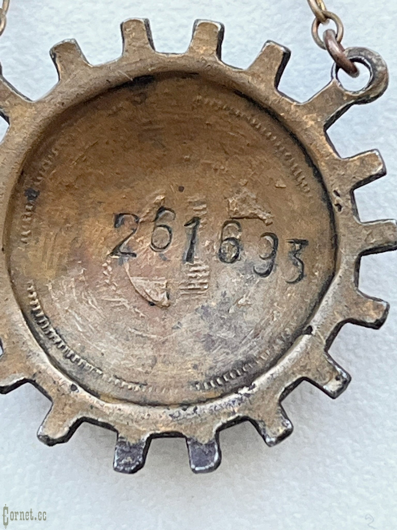 Komplekt pin + dokument Red Cross