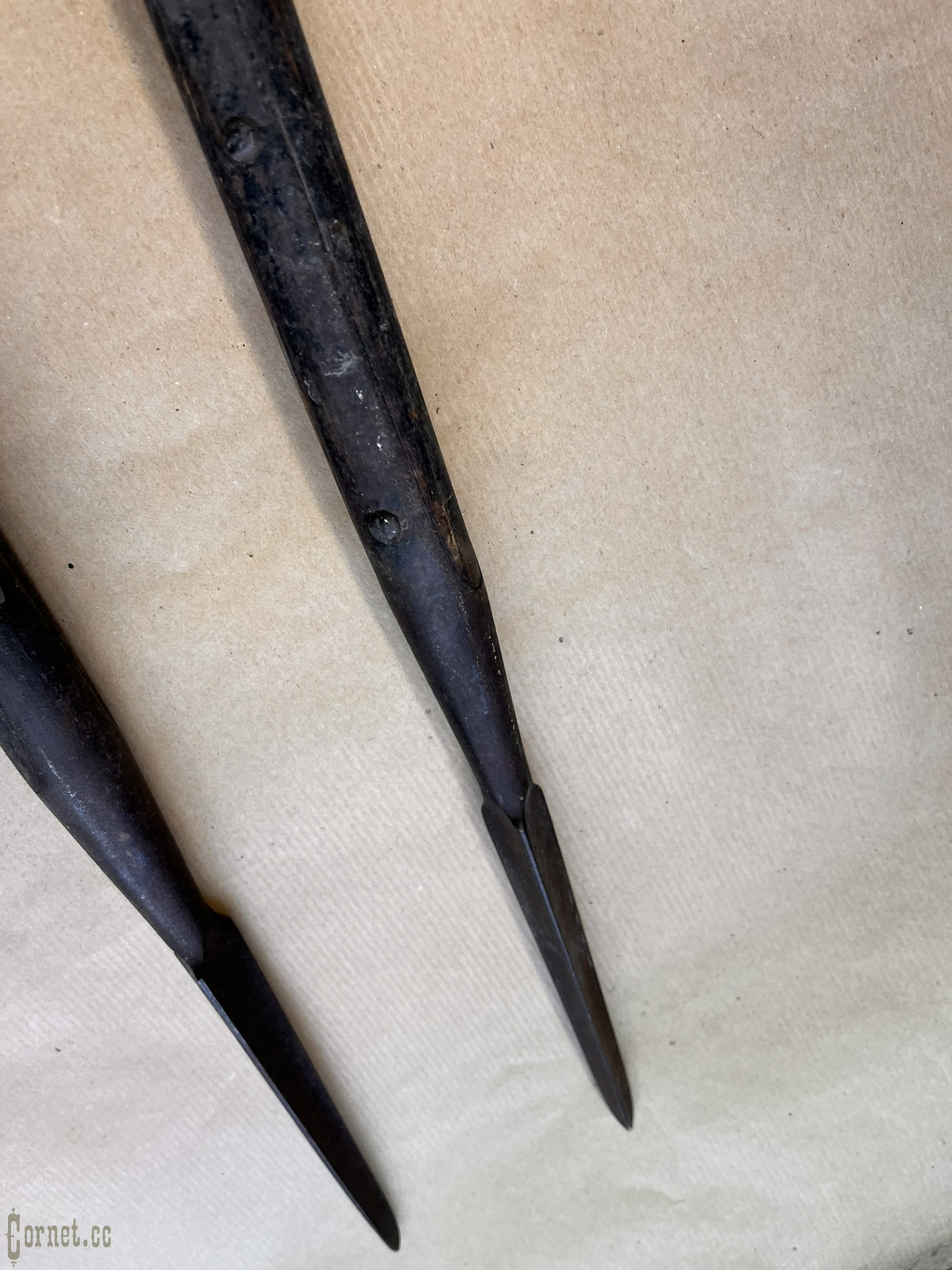 Peak Cossack sample of 1862