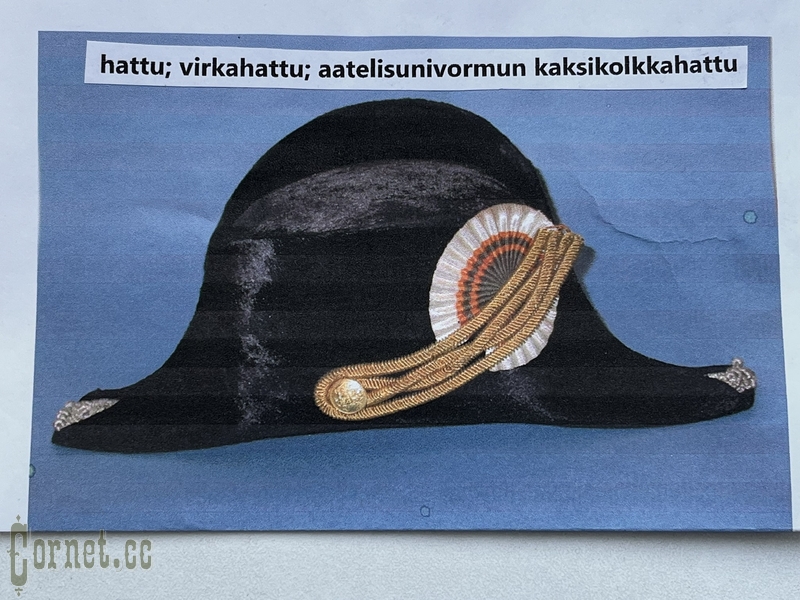 Двууголка чиновника РИ