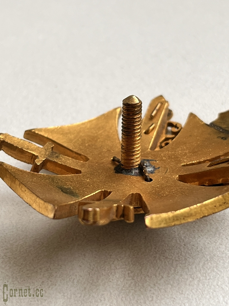 Знак  "В память 50-летия покорения Восточного Кавказа. 1859-1909 гг."