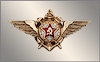Нагрудный знак ВВС ВМФ.